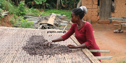 cocoa
